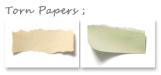tornpapertt